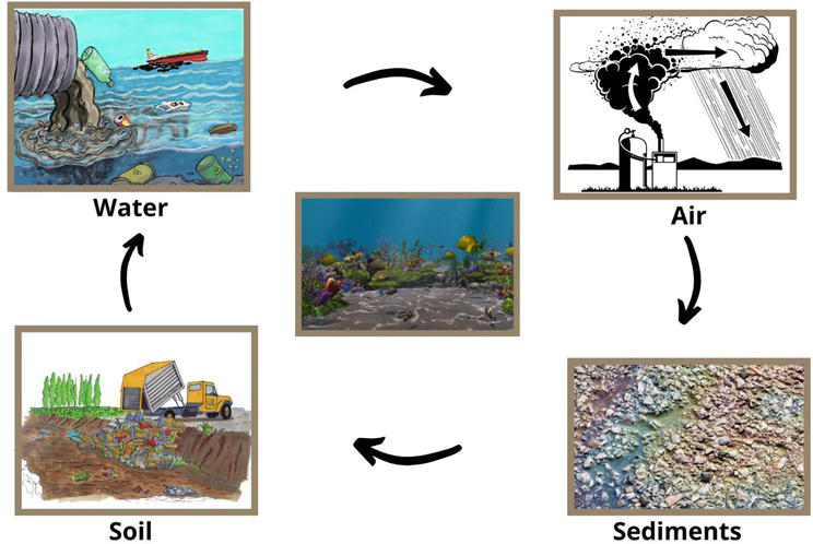 Qué Son Los Metales Pesados En El Agua Y Por Qué Son Peligrosos