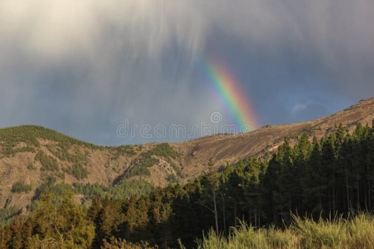 arcoiris brillante sobre paisaje natural