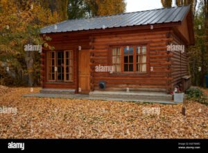 cabanas de madera en bosque argentino otonal