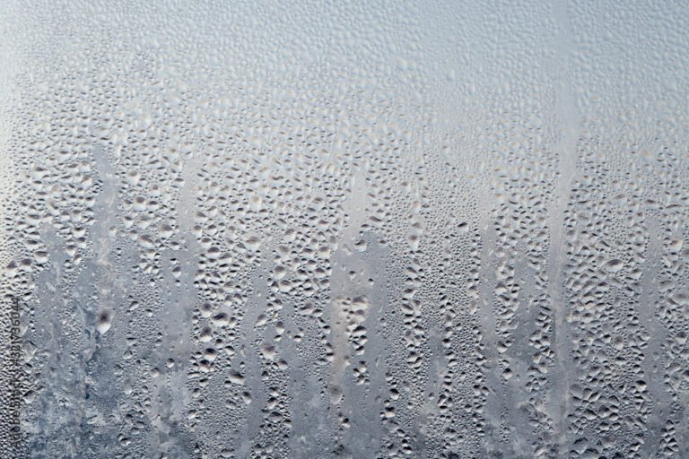 Cuáles Son Algunos Ejemplos De Sustancias Que Cambian De Gaseoso A Líquido 2 condensacion vapor agua gotas sobre vidrio