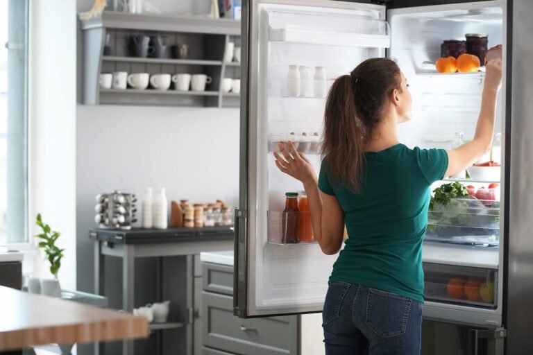 Cuánto gasta un freezer por mes en electricidad en Argentina