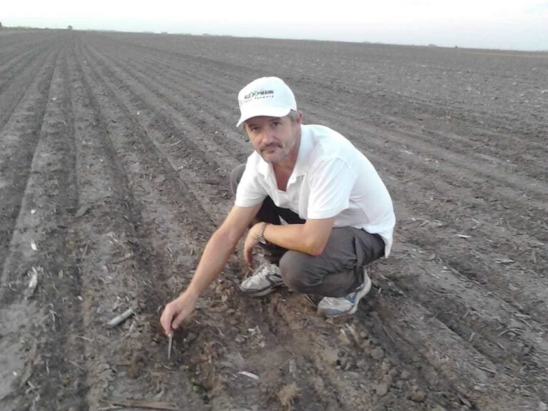Cómo encontrar trabajo como ingeniero agrónomo en Argentina