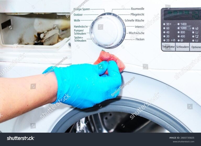 Cómo limpiar la goma del lavarropas para eliminar moho y suciedad