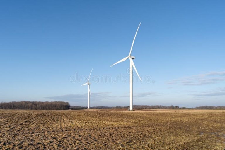 Cómo Funcionan Los Molinos De Energía Eólica Y Cuál Es Su Uso