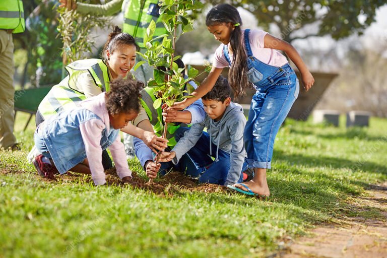 ninos plantando arboles en un parque