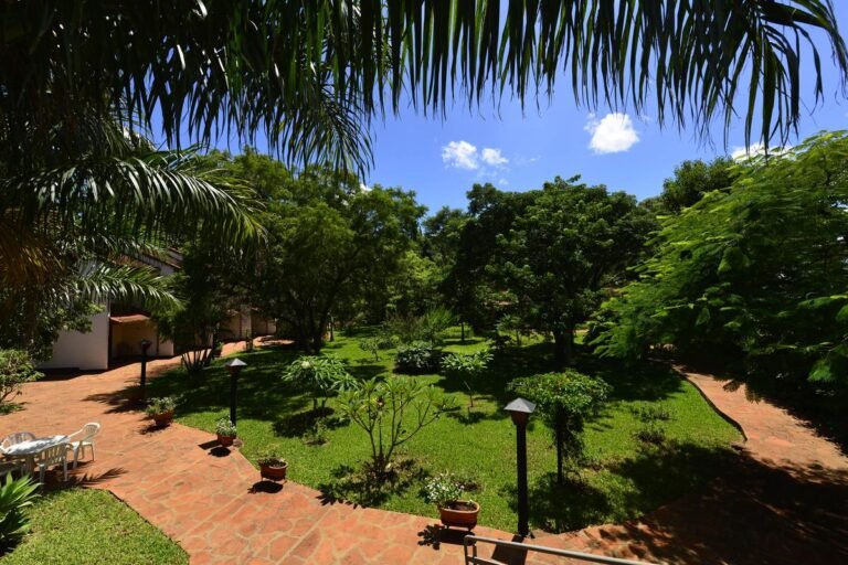 Qué Ofrece Bella Vista Paraguay Para Turistas y Residentes 6 Qué Ofrece Bella Vista Paraguay Para Turistas y Residentes