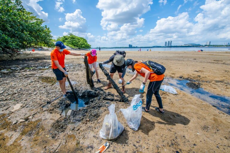 playa limpia con voluntarios recogiendo basura