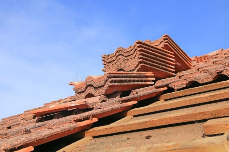 Dónde Comprar Tejas Del Sur Córdoba De Calidad Al Mejor Precio