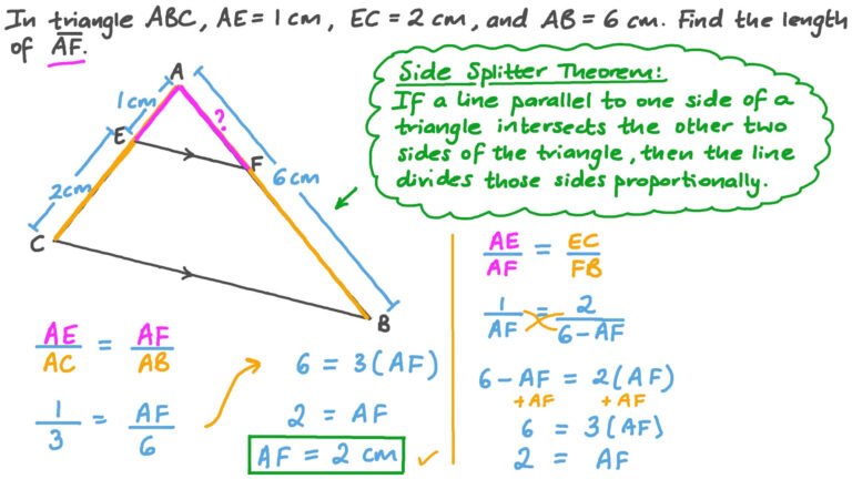 triangulo con segmentos paralelos y lineas guia